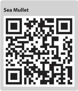 Image for QR code for this page